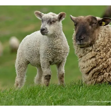 Twin Mills View Гретзиль